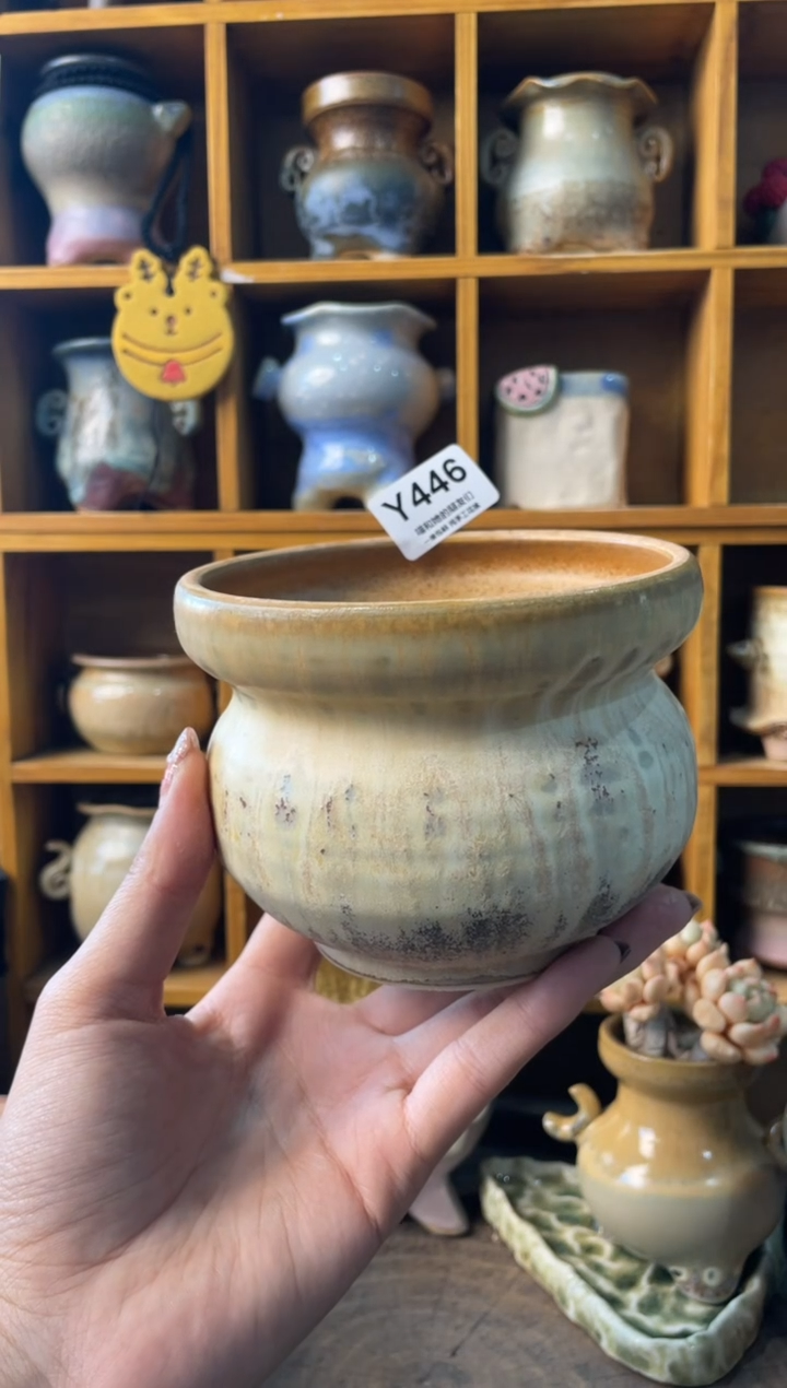 446内口10【多肉花盆多肉盆】