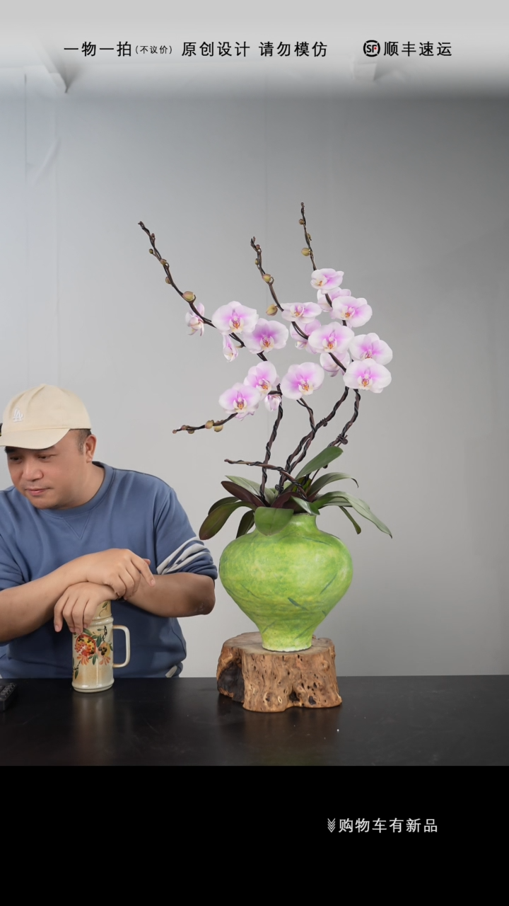 【闪购商品】064号链接【一物一拍】艺术盆景