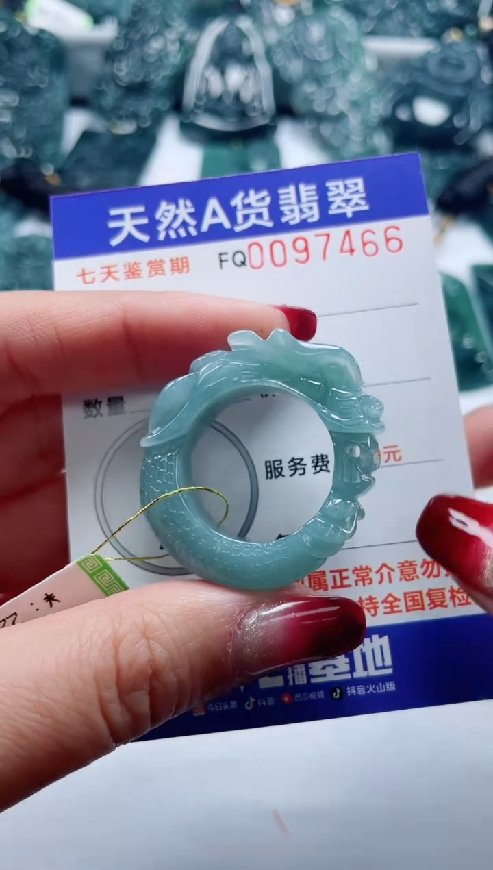 【闪购商品】翡翠颈饰未镶嵌          