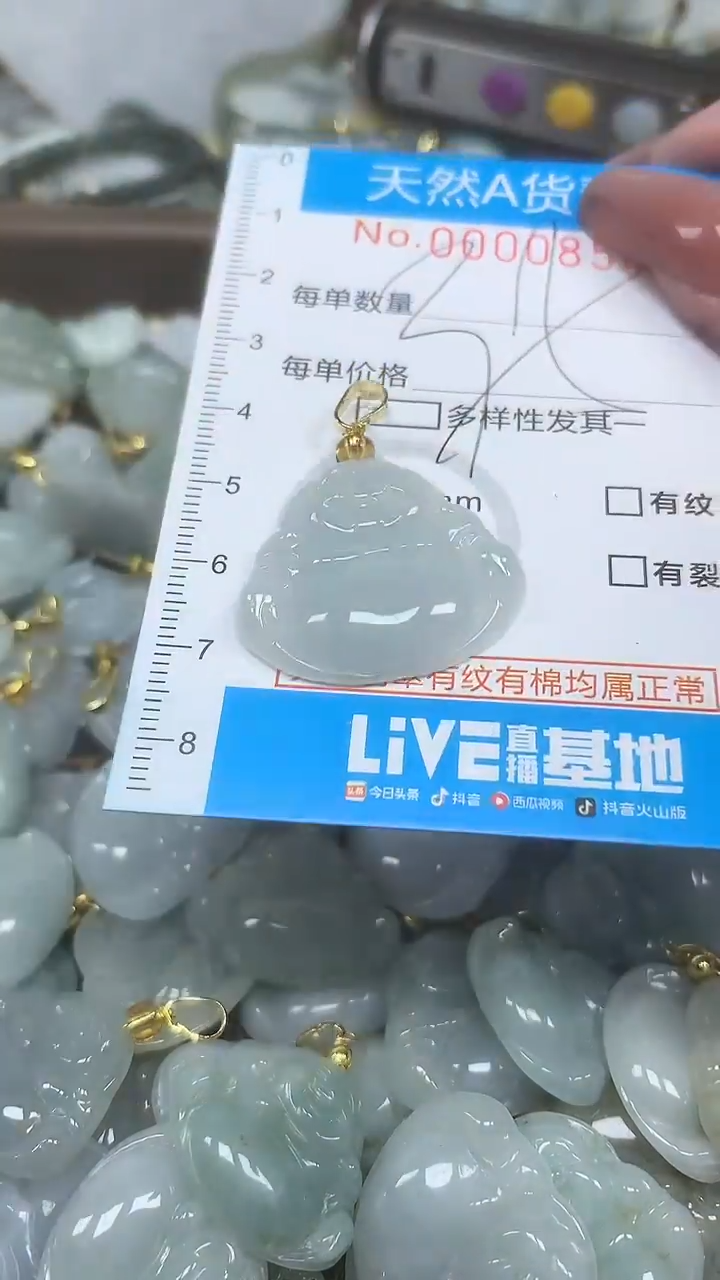 翡翠未镶嵌颈饰净货挂件-0854