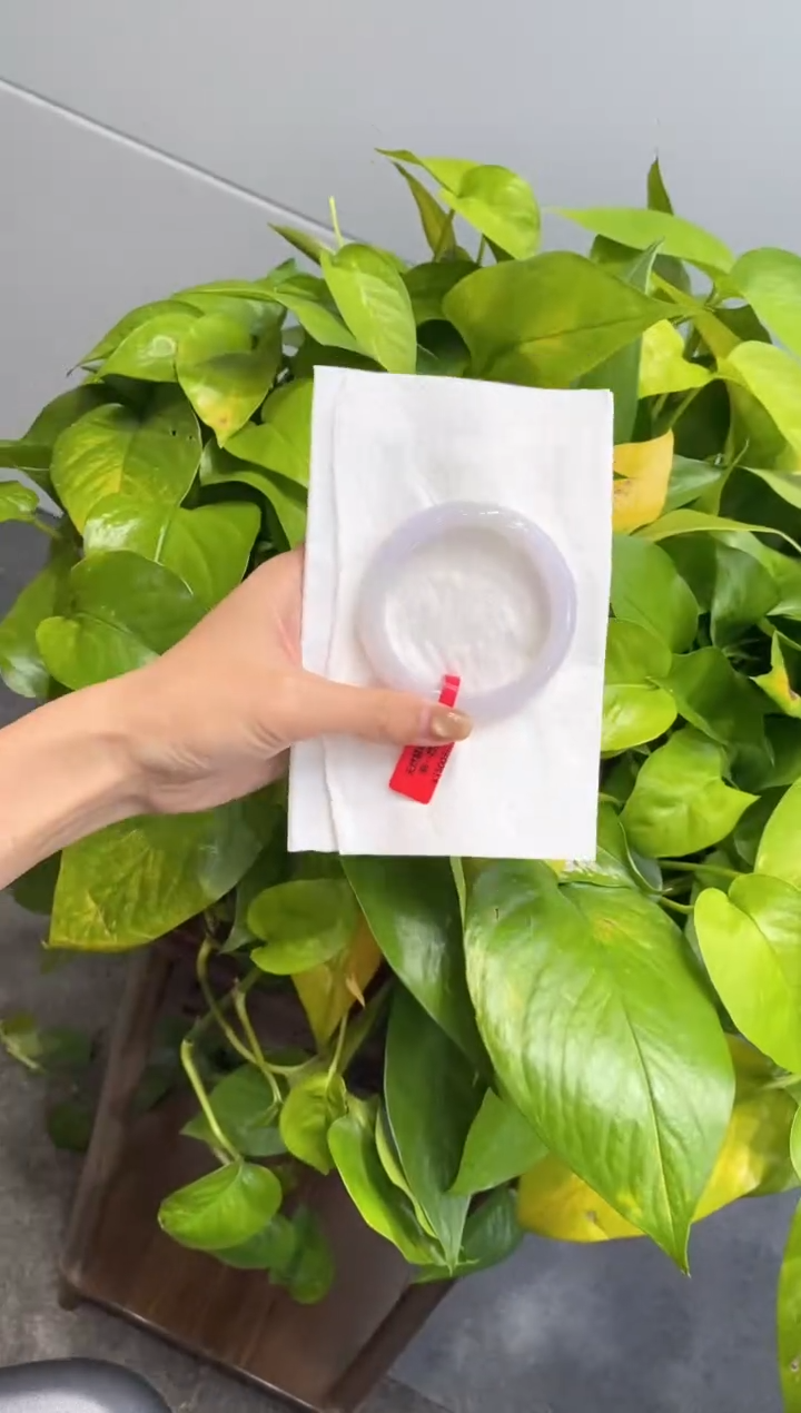 未镶嵌手镯翡翠000079219