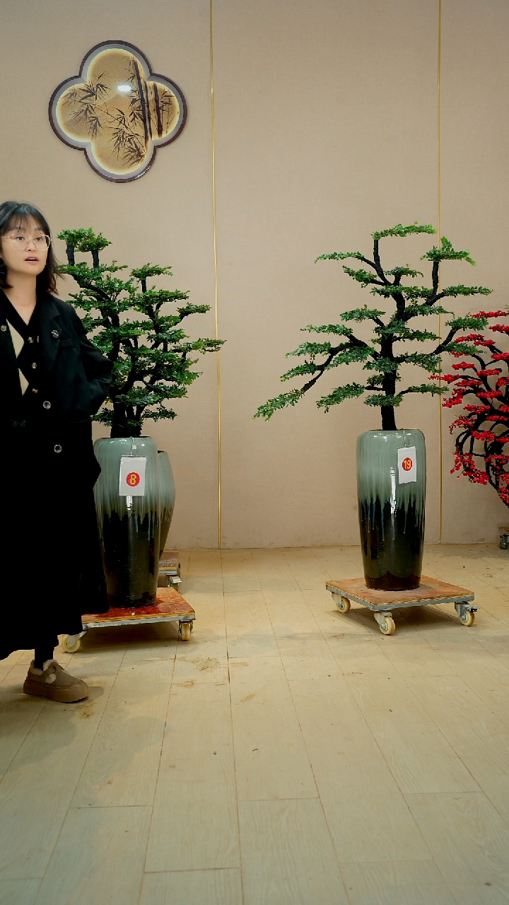 以实际为准毕*生【广东小叶紫檀】落地高端盆景绿植四季常青常绿