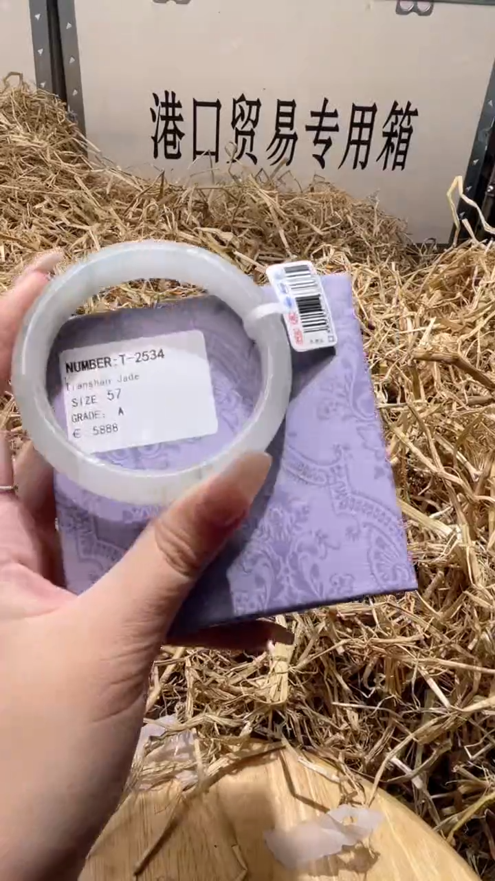 未镶嵌手镯石英质玉T2534Z