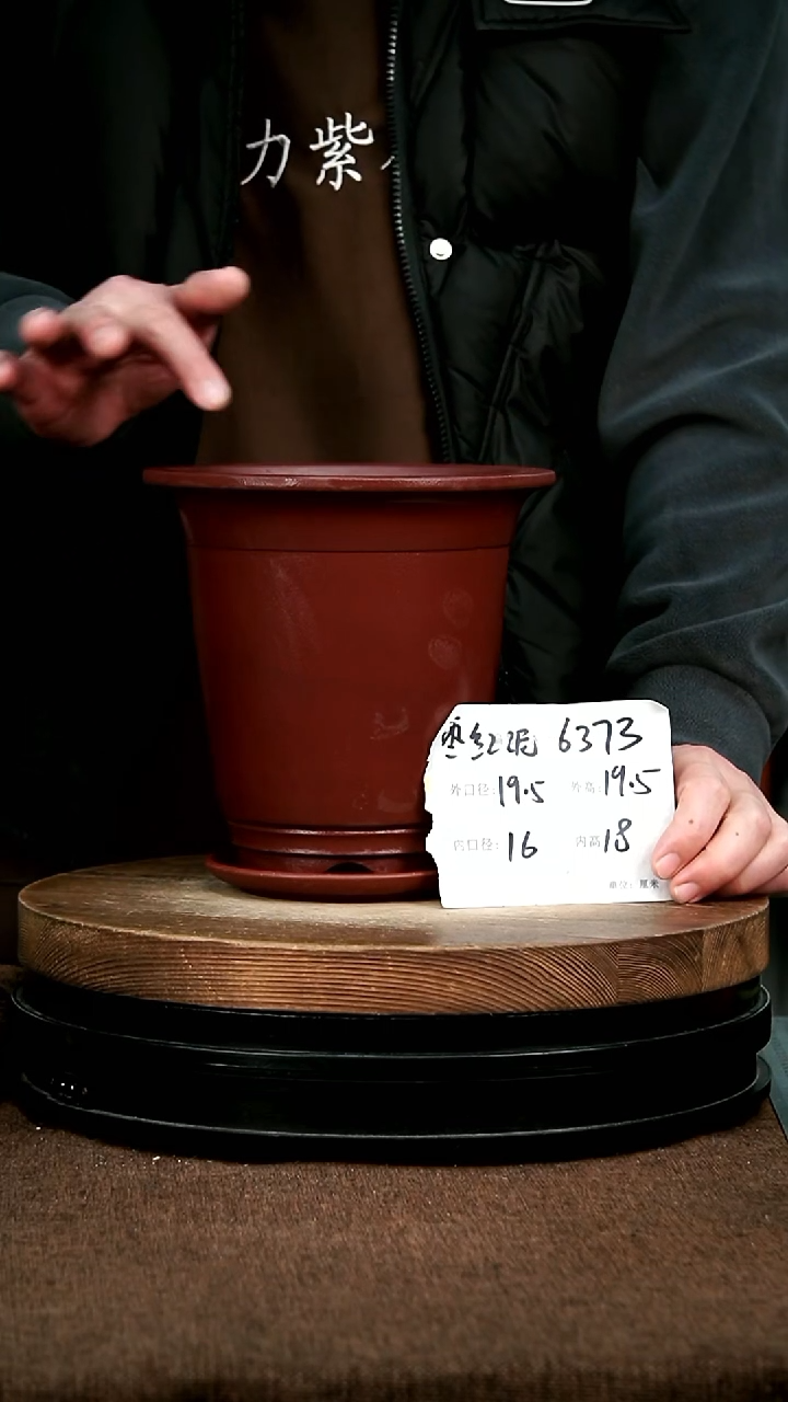 紫砂花盆花卉园艺6373+Z