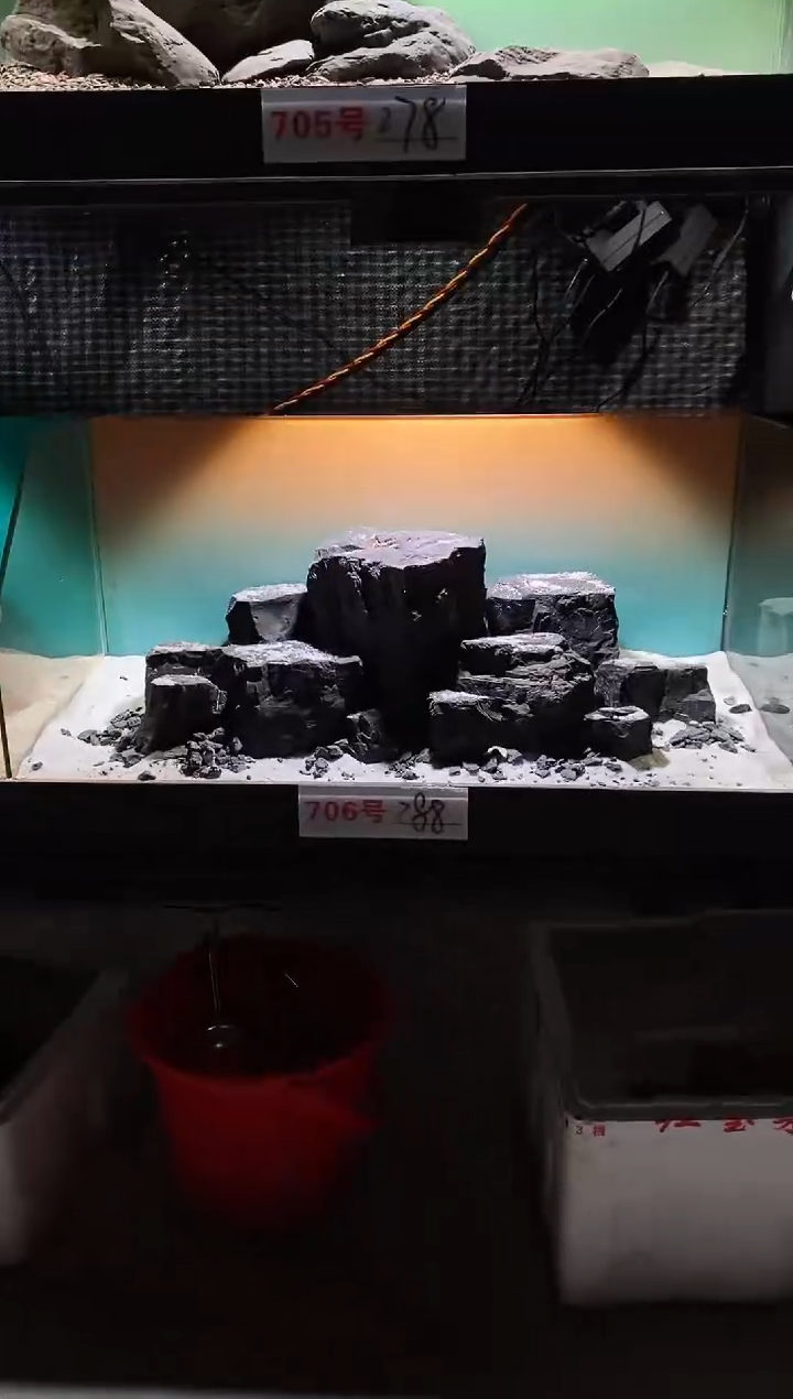 706号鱼缸造景（不含底砂）