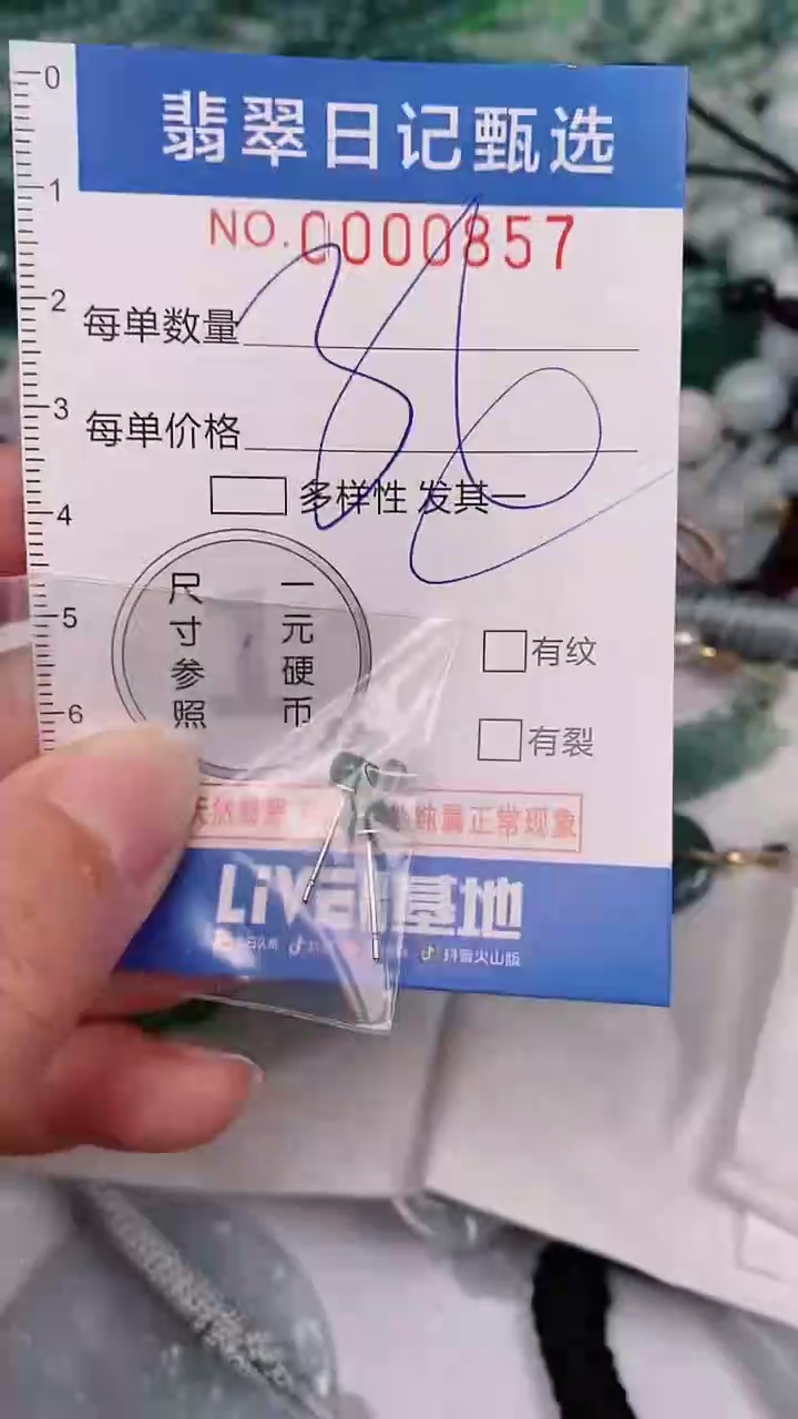 【闪购商品】翡翠颈饰未镶嵌00000857