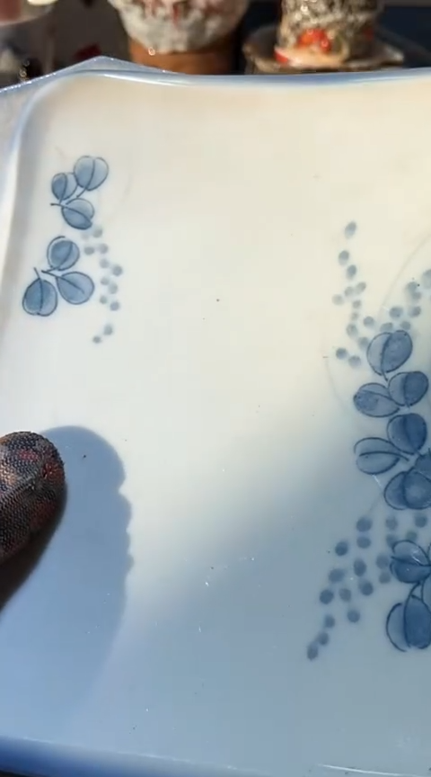 【闪购商品】瓷片6918403517505109615