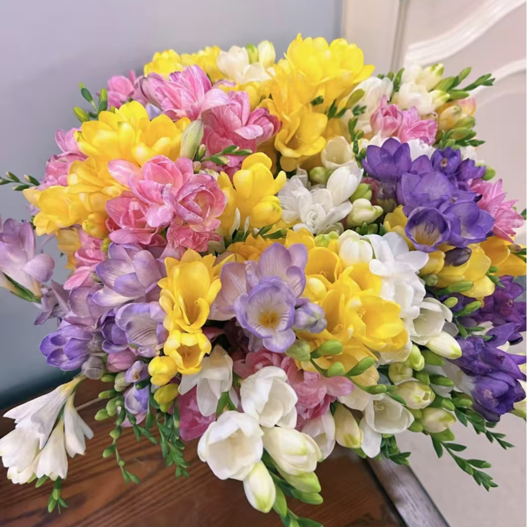 【香雪兰】小苍兰香水味道鲜花