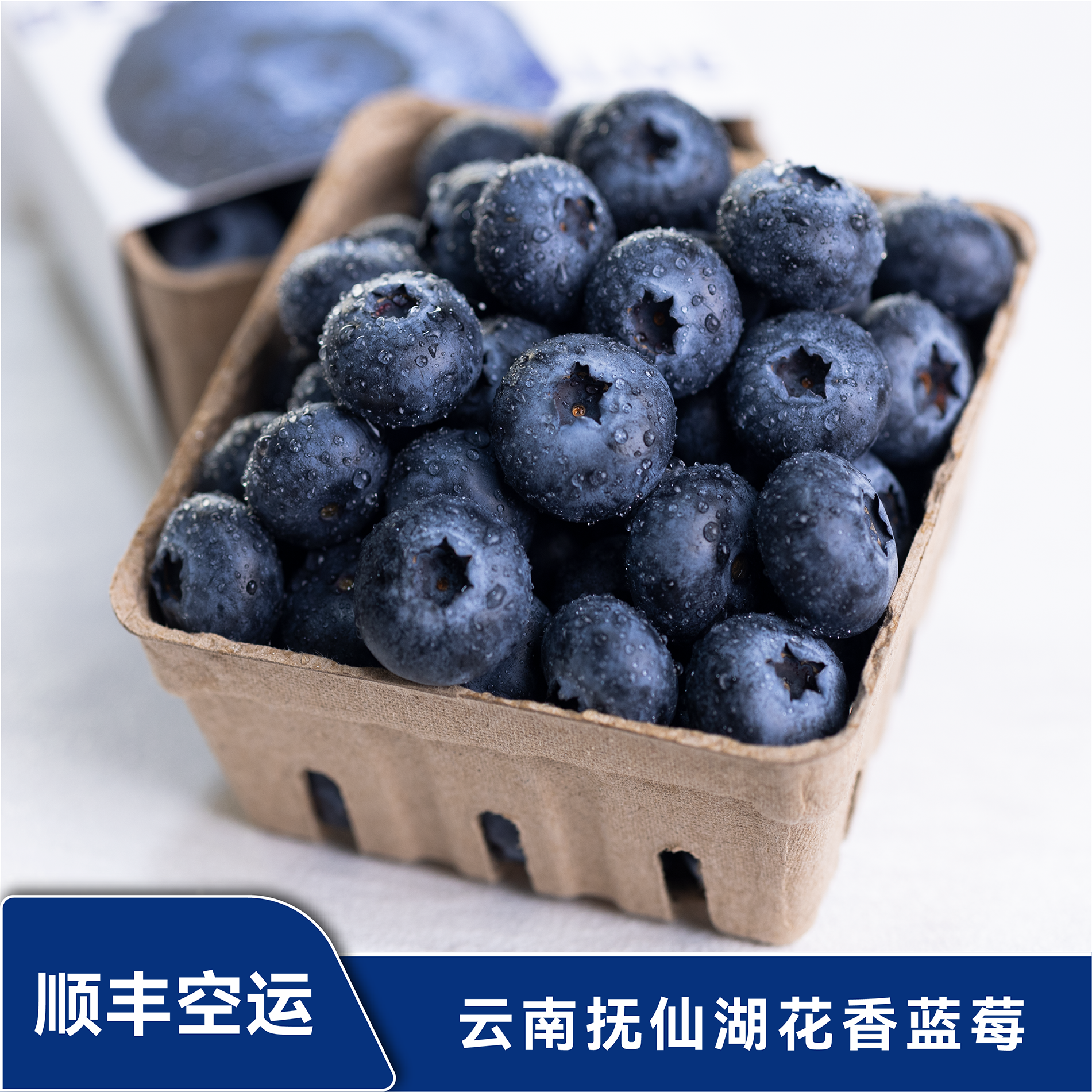 云南L25花香蓝莓抚仙湖新鲜蓝莓600g带不锈钢保鲜盒