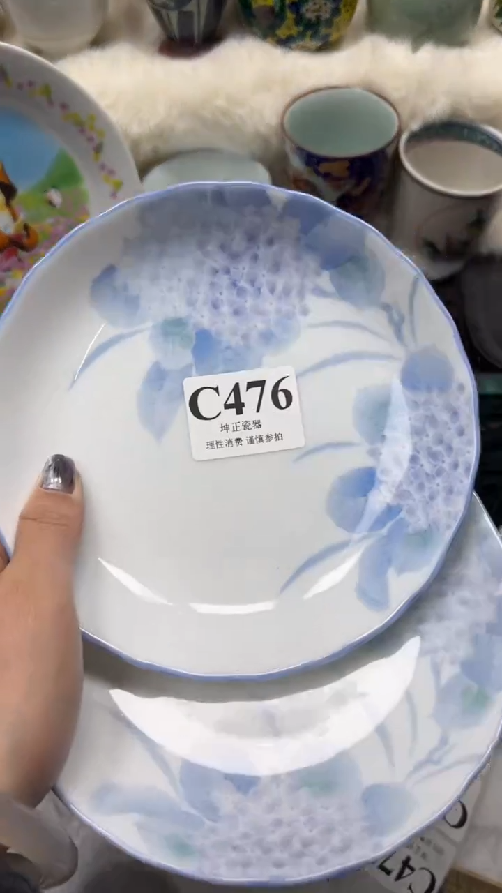 【闪购商品】瓷片          C476