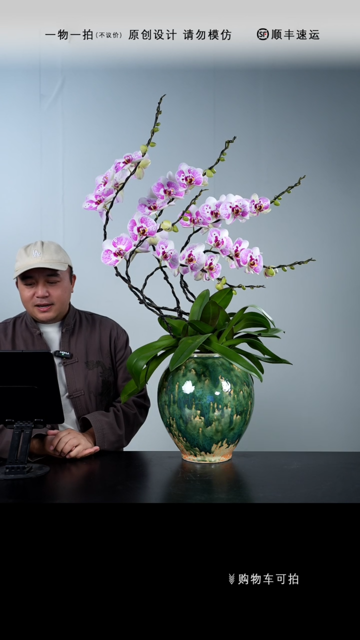 【闪购商品】046号链接【一物一拍】艺术盆景