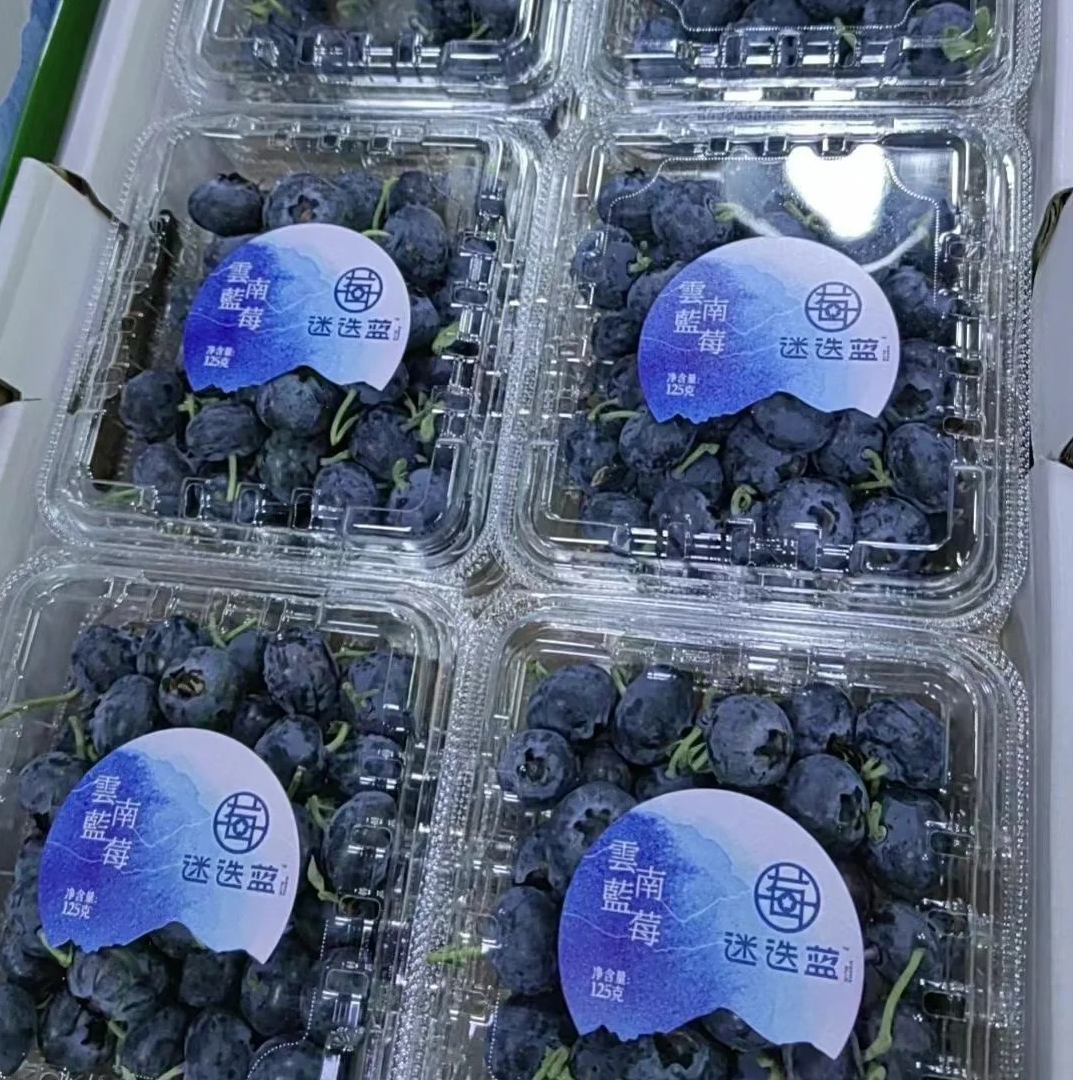 【乌海同城配送】云南迷迭蓝中果蓝莓盒装同城小时达