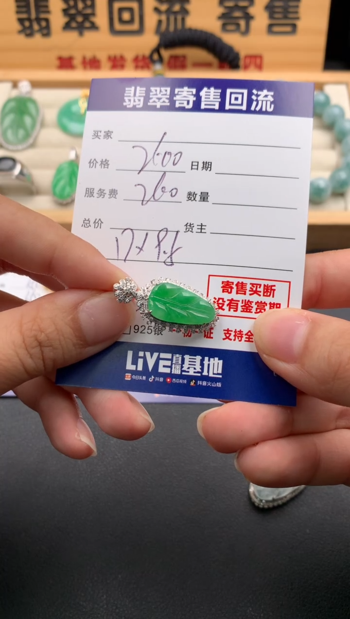 翡翠18K金镶嵌颈饰10141472