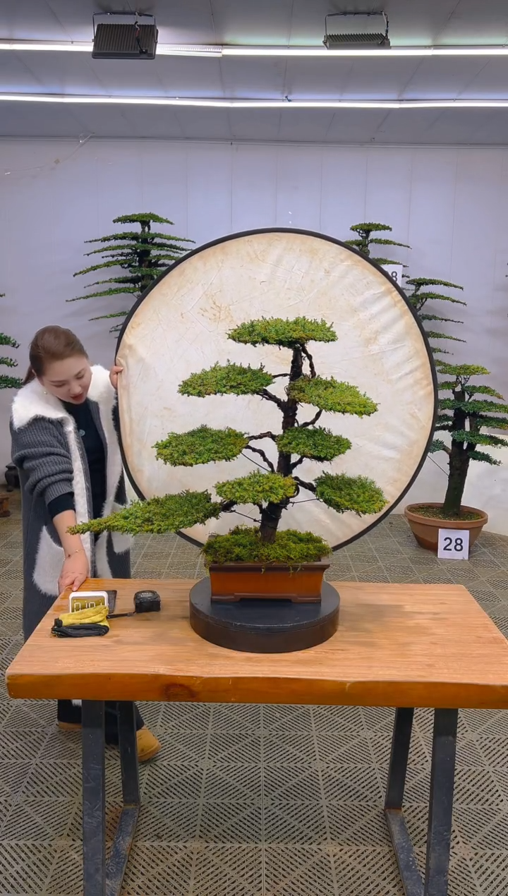 无花朵一物一拍一物一拍