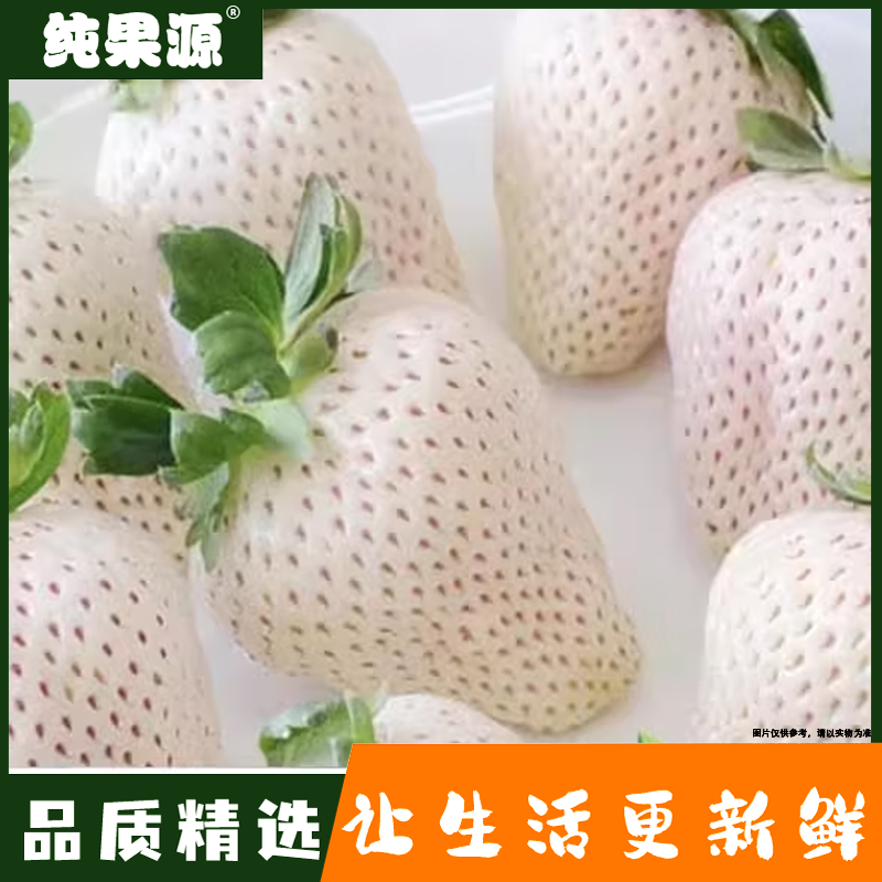 【纯果源小时达】淡雪草莓【一盒装/毛重约7两】