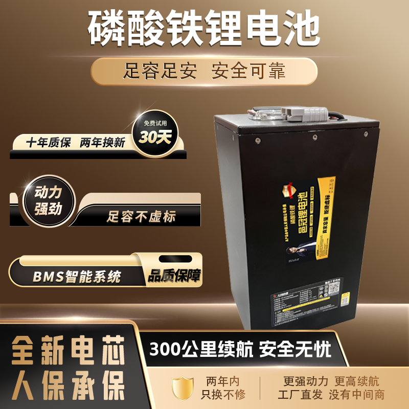 国轩锂电池二轮外卖专用长续航足容实标蓝牙动力大单体电摩60V72V