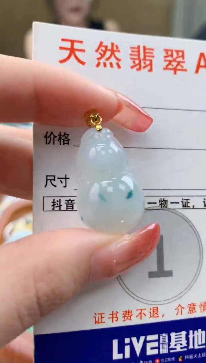 颈饰未镶嵌翡翠 天然A货翡翠挂件