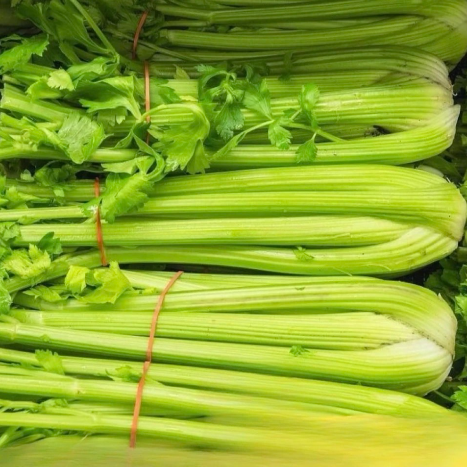 【明月果蔬】新鲜大西芹