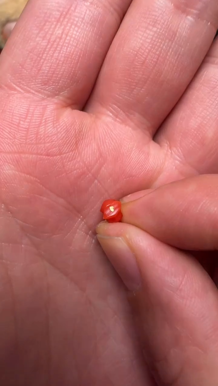 【闪购商品】树脂制品雕刻线束