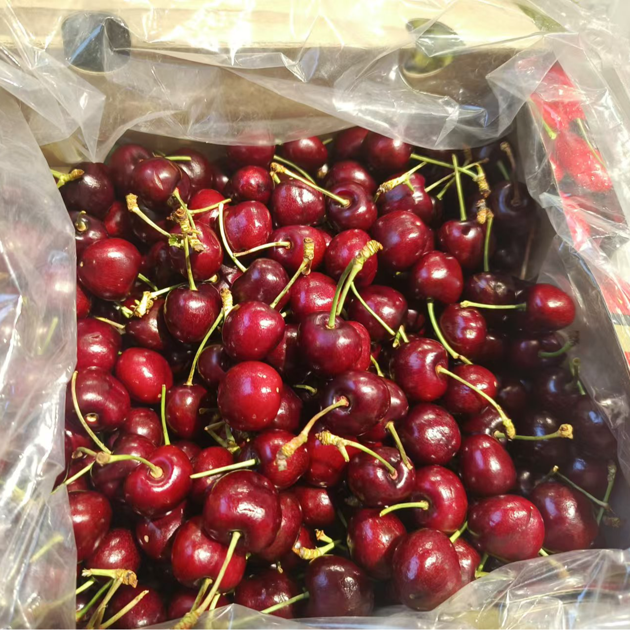 【惠好１小时送达】新鲜车厘子智利进口 2J品质   一盒/斤黑珍珠智利