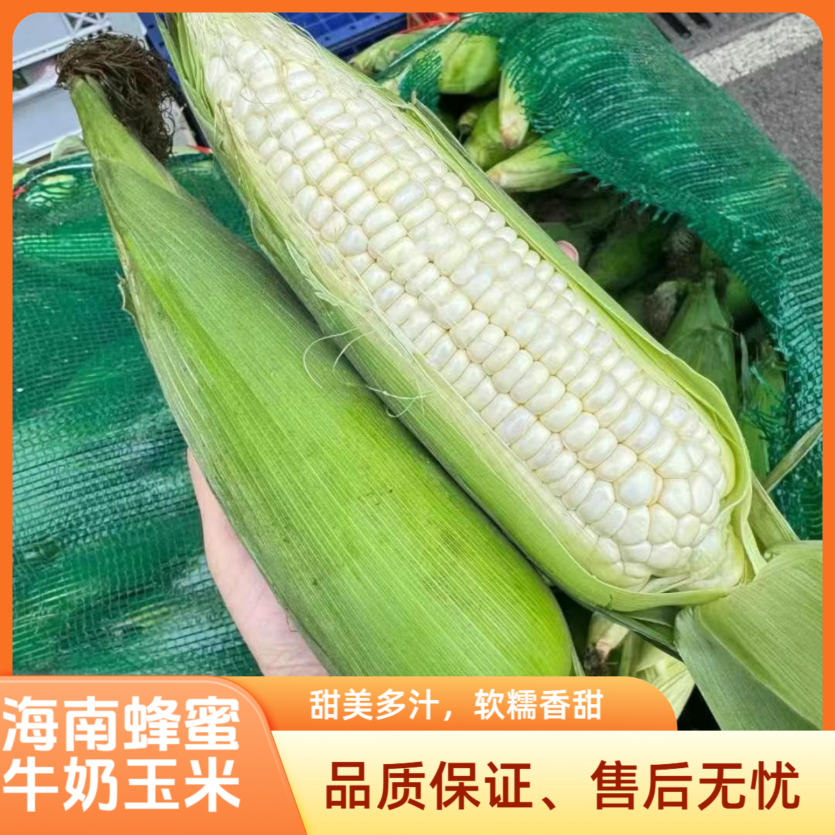 【活动】海南蜂蜜牛奶玉米软糯香甜3/5/10斤