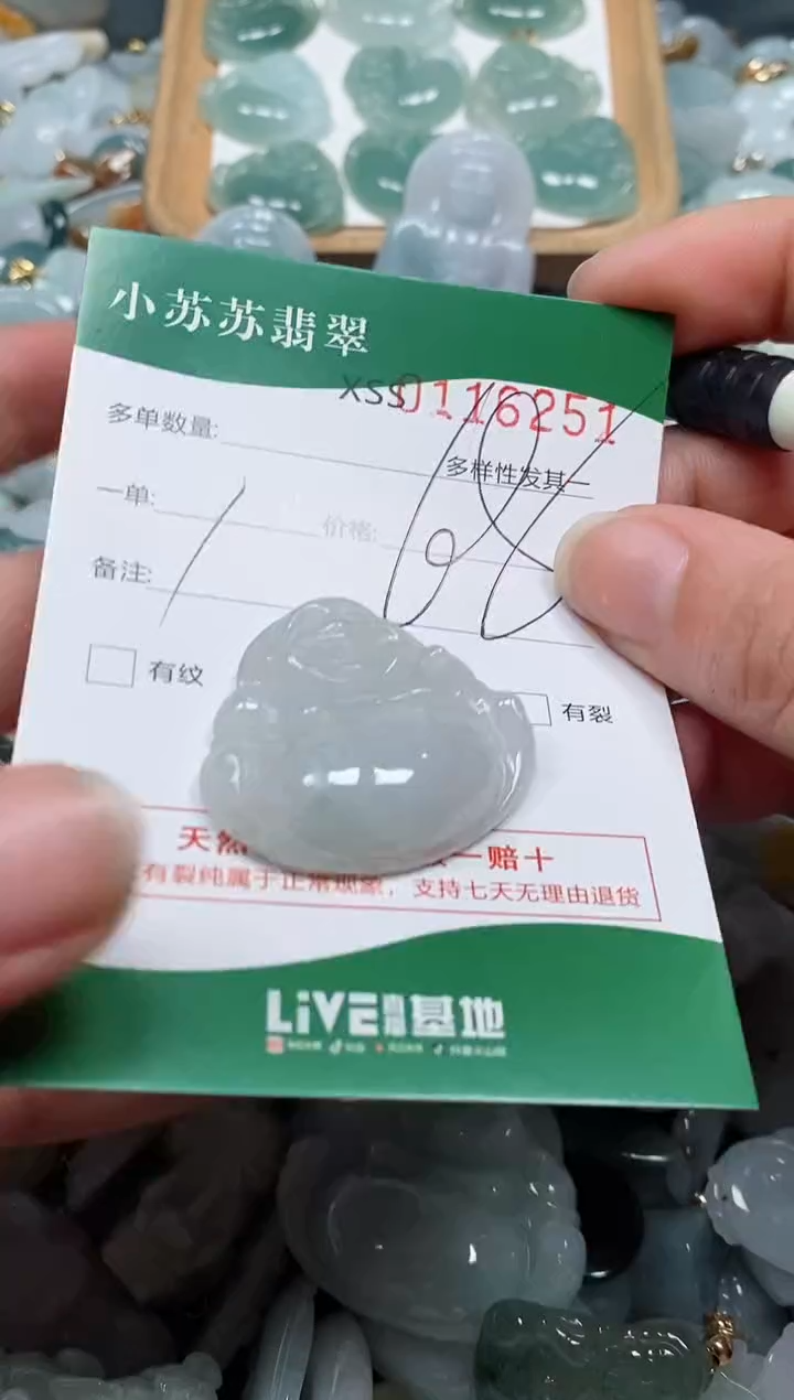 【闪购商品】翡翠颈饰未镶嵌闪购商品0116251