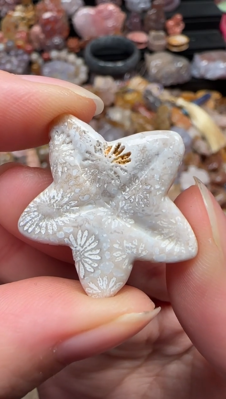 颈饰未镶嵌硅化珊瑚（珊瑚玉）755