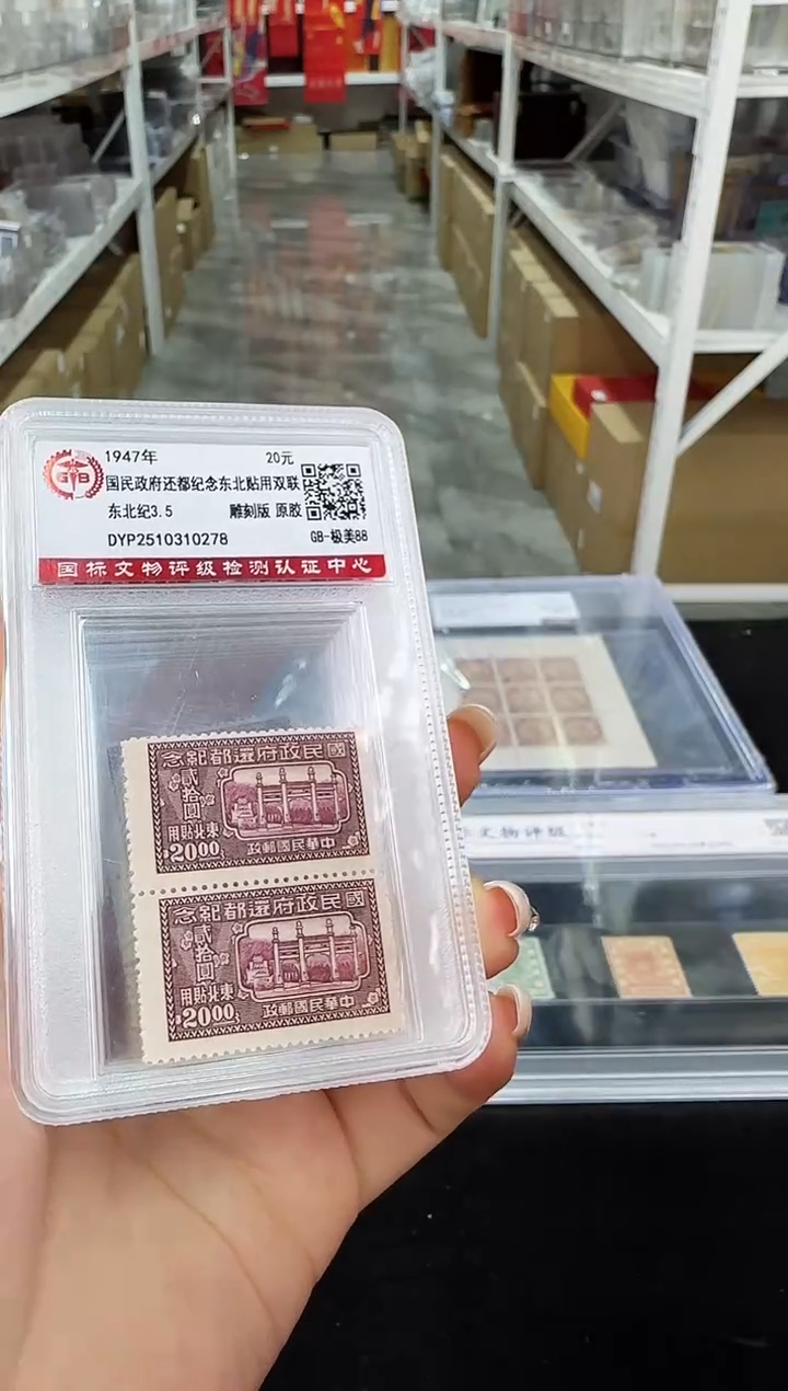  《周总严选》东北纪3 东北贴用邮票双联 