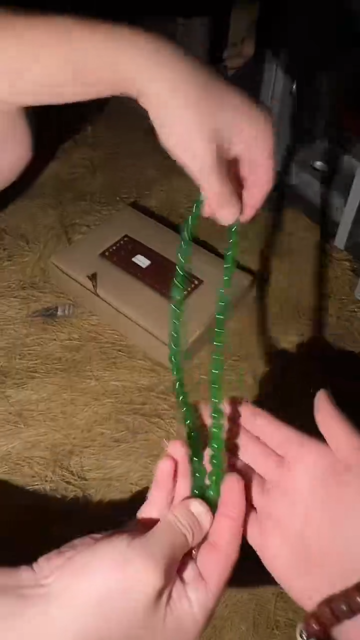 香榧木绿项链1111