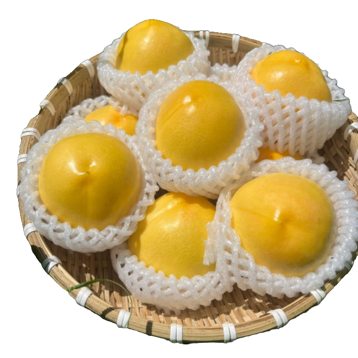 <平谷澳油>现摘现发，平谷产地直发北京市