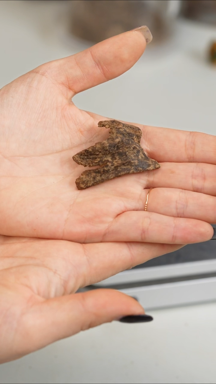 沉香沉香碎屑沉水越南富国岛 2.5g