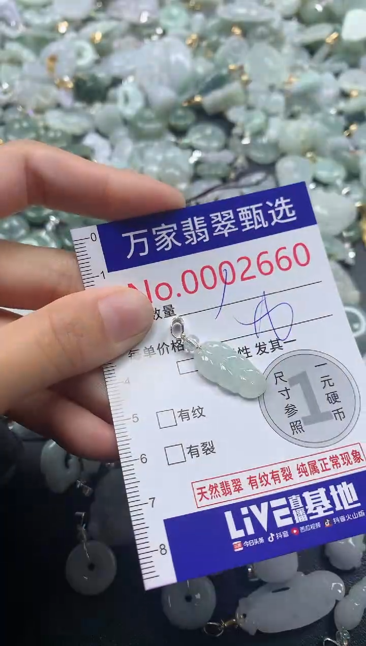 吊坠(不含链)未镶嵌翡翠2660