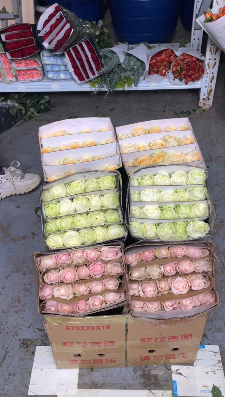 香槟20枝+粉红20枝+白雪山20枝