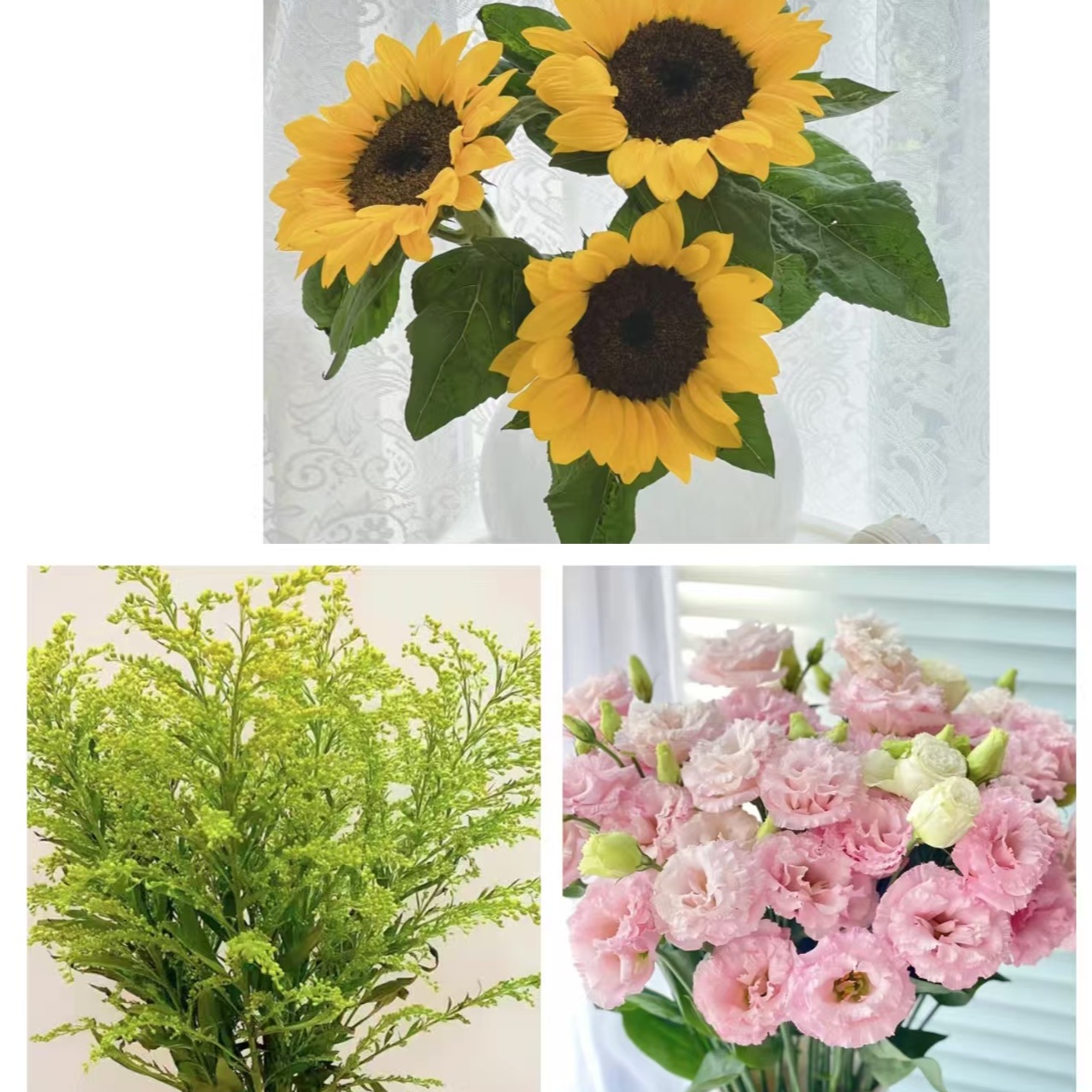 云影优选【向日葵3支+粉色 桔梗枝3支+登高草5支】一举夺魁向阳而生中考花束鲜花组合云南鲜花批发次日达包邮