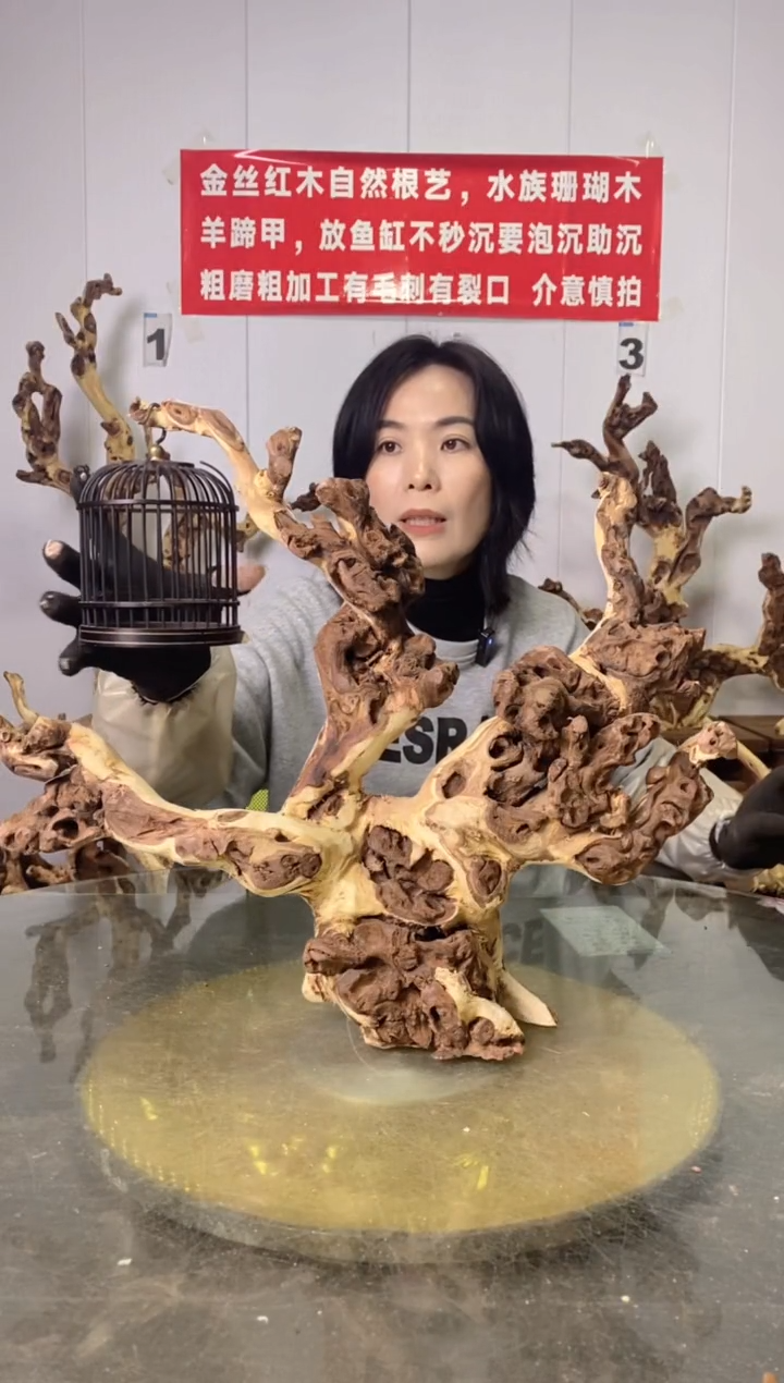 【闪购商品】香榧木金丝红木 羊蹄甲