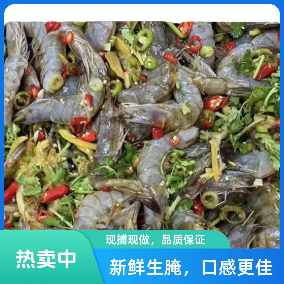 2【现做现发】大连生腌生呛海虾白虾大虾海鲜青虾500克*2桶固形物大于70%