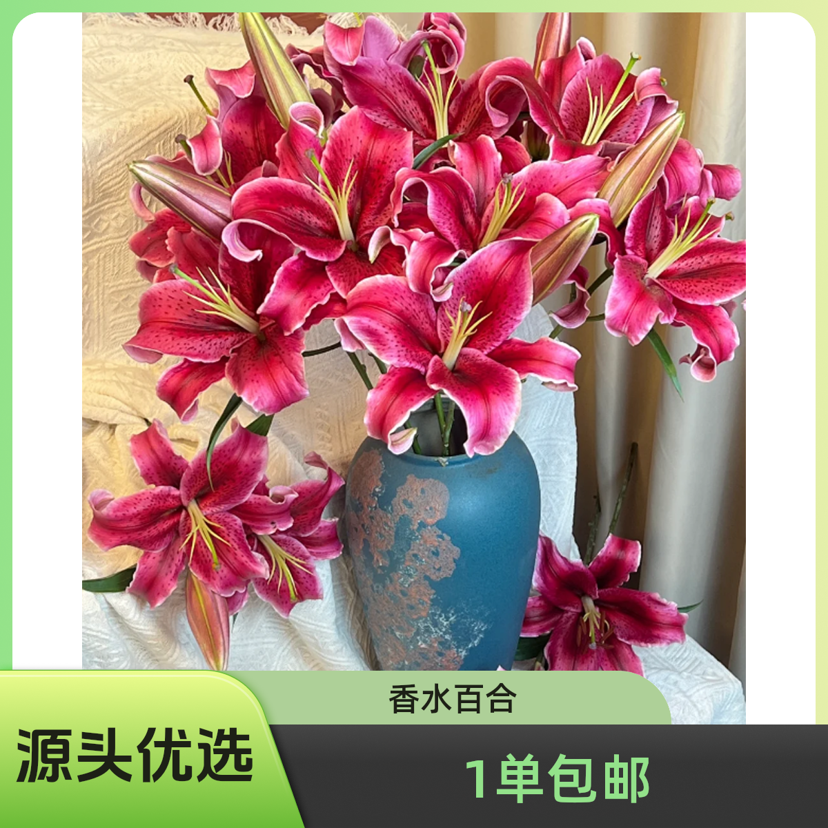  植此 1单包邮 (多头 黑美人 百合) 单瓣香水百合 云南基地直发