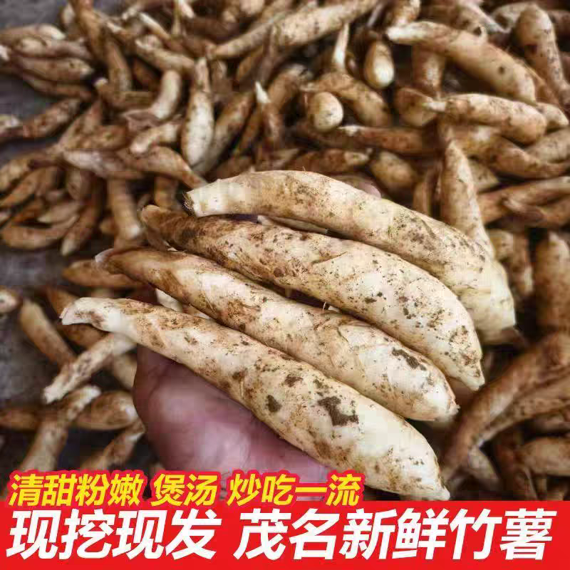 广东新鲜现挖竹薯冬粉薯竹芋农家自种煲汤火锅食材可做凉粉