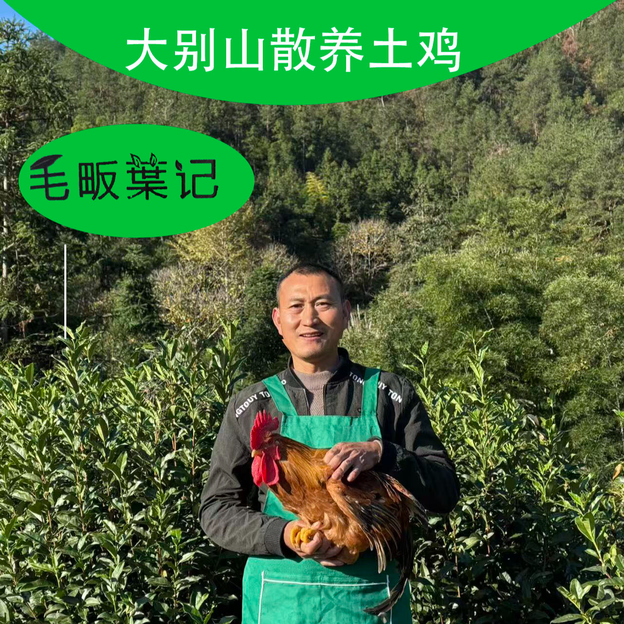 【正宗农家土鸡】皖南土鸡大别山散养土鸡大公鸡