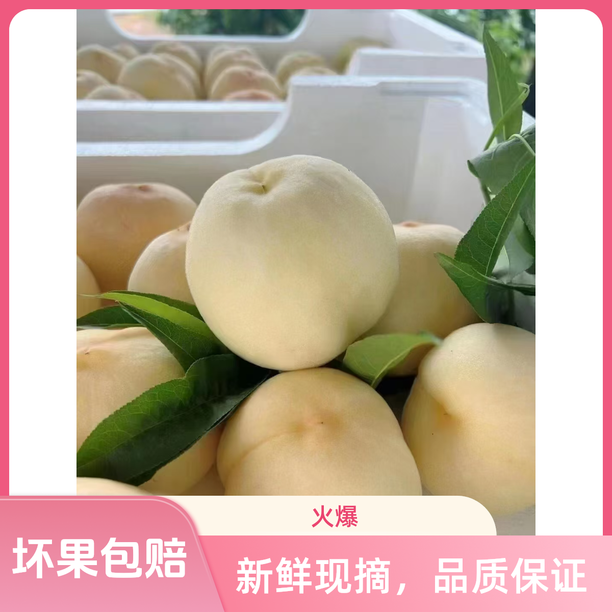 新沂水蜜桃【京东发货】【现摘现发】新鲜采摘水蜜桃买5送1共6颗大果