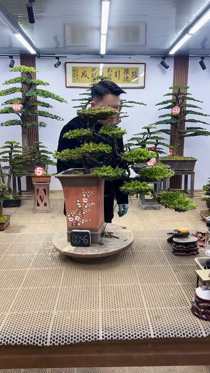【闪购商品】000000000