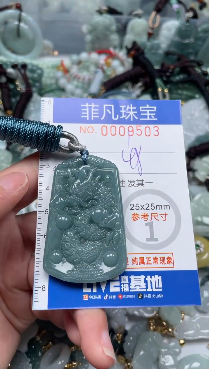 【闪购商品】翡翠颈饰未镶嵌00..9503