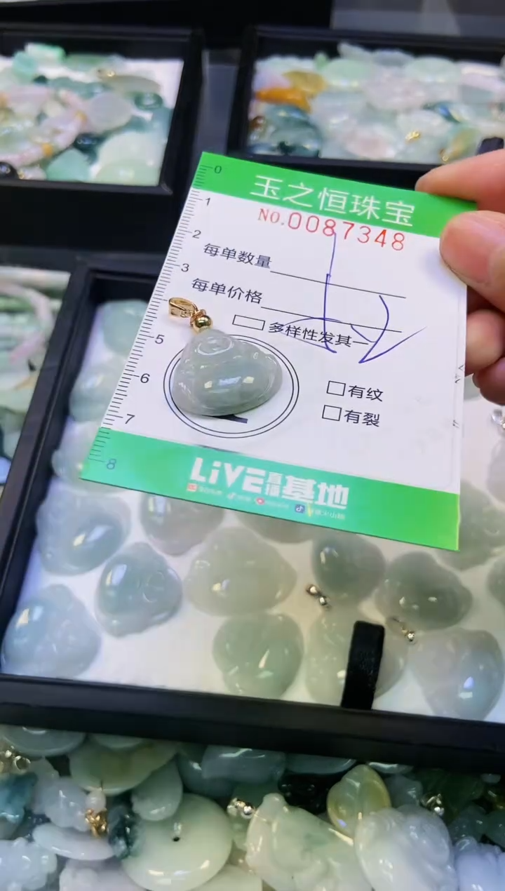 翡翠未镶嵌颈饰闪购0087348