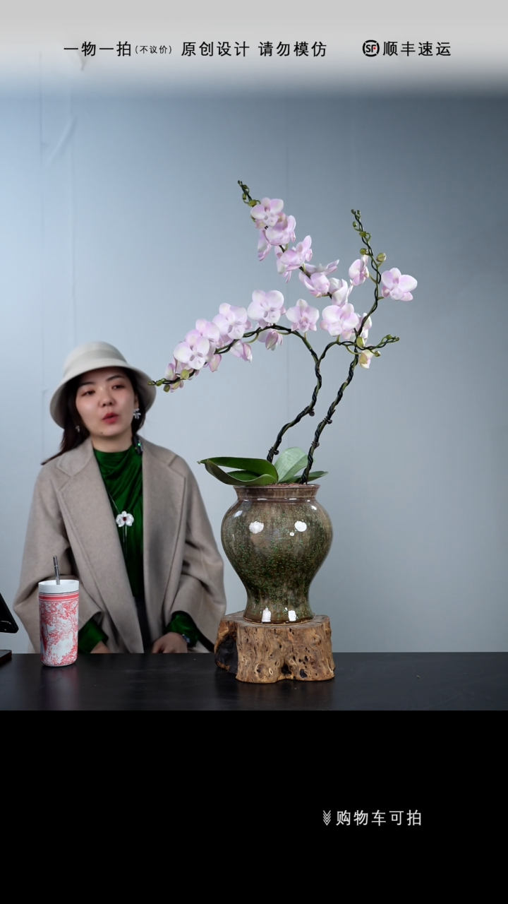 【闪购商品】068号链接【一物一拍】艺术盆景