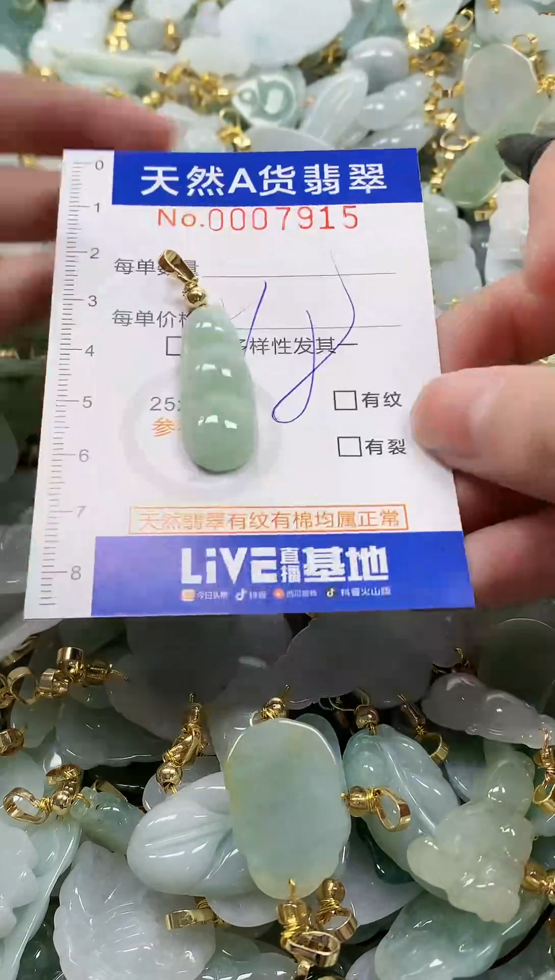 颈饰未镶嵌翡翠纯天然a货翡翠