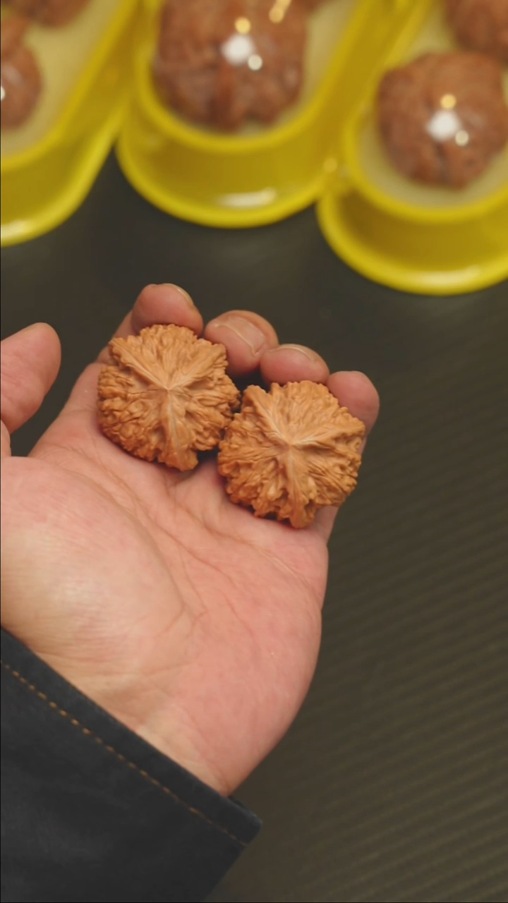 老**了福利福利福利御龙粗筋