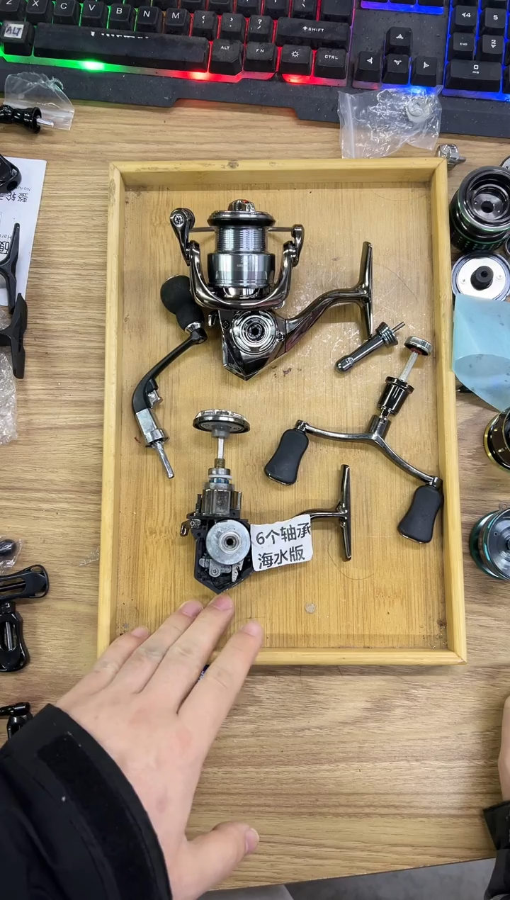 53型号2500泰诺精工6个轴承