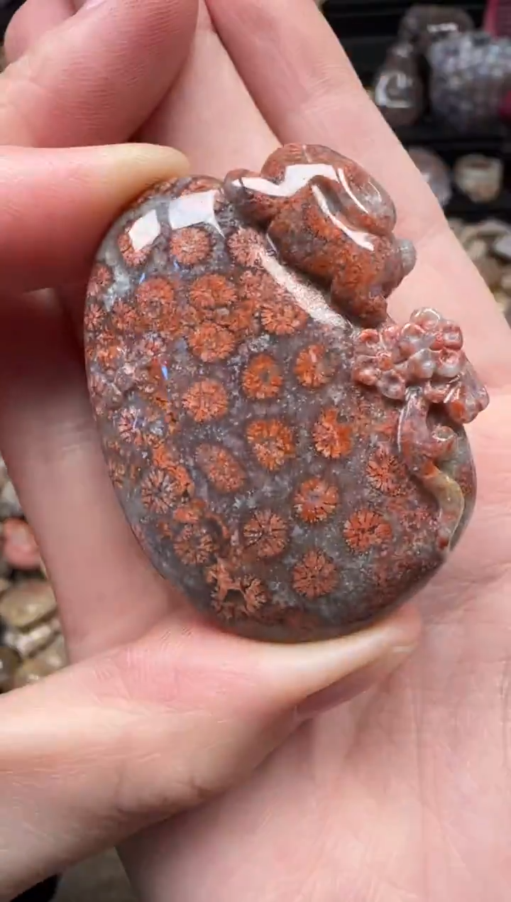 颈饰未镶嵌硅化珊瑚（珊瑚玉）201