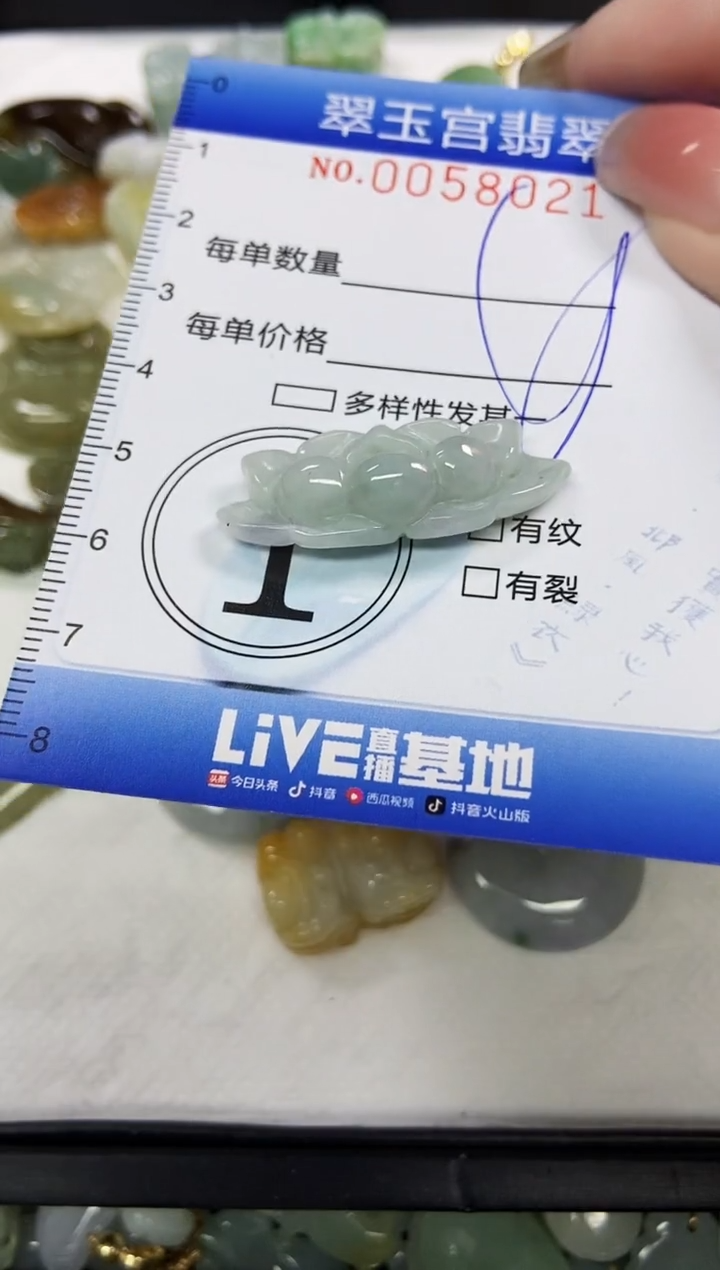 【闪购商品】翡翠颈饰未镶嵌闪购0058021