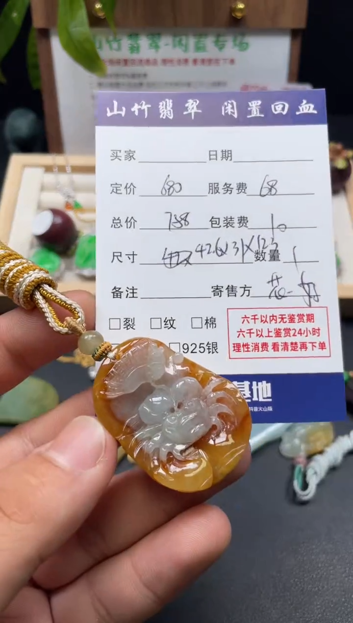 颈饰未镶嵌翡翠3002952